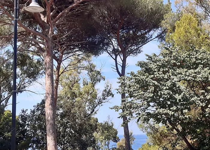 B&B Posidonia